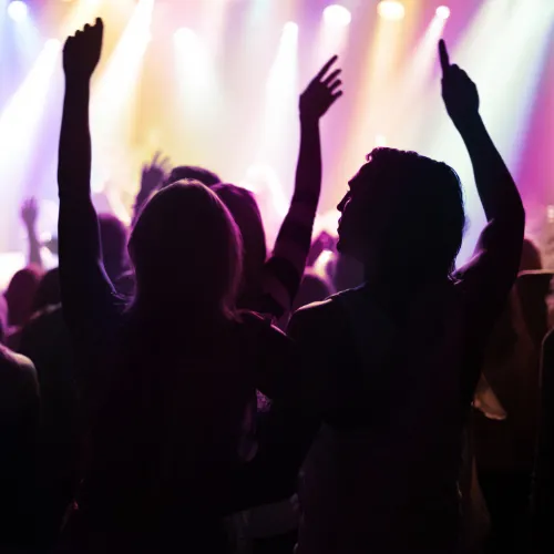 music show attendance picture